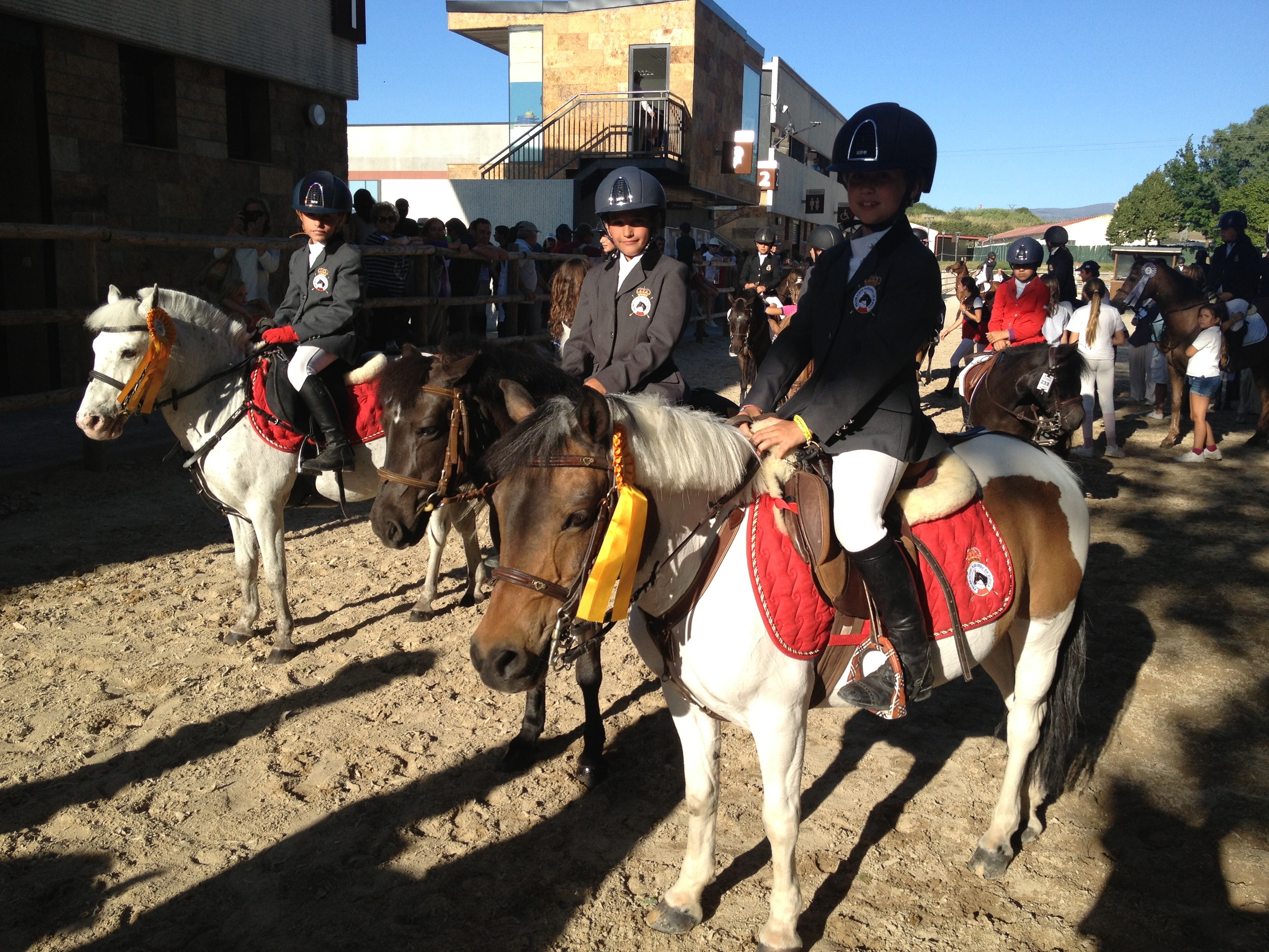 La seleccion Navarra campeona de España de Ponis